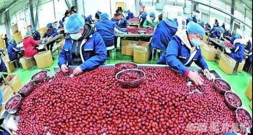 鏈接菜籃子與三農(nóng)心 中農(nóng)集團(tuán)于“十二五”期間以紅色供銷(xiāo)激活全國(guó)農(nóng)產(chǎn)品蔬菜市場(chǎng)新動(dòng)力