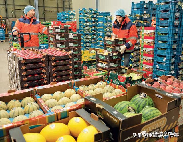 高端水果與蔬菜一手進(jìn)貨渠道全攻略